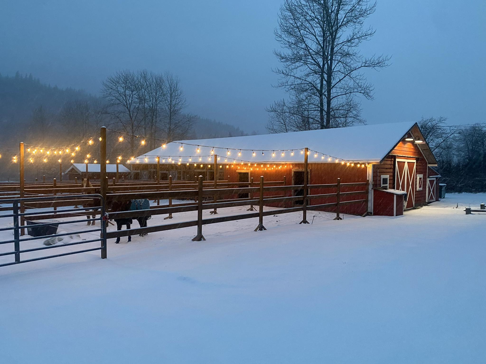 Highland Mountain Ranch | Bellingham WA