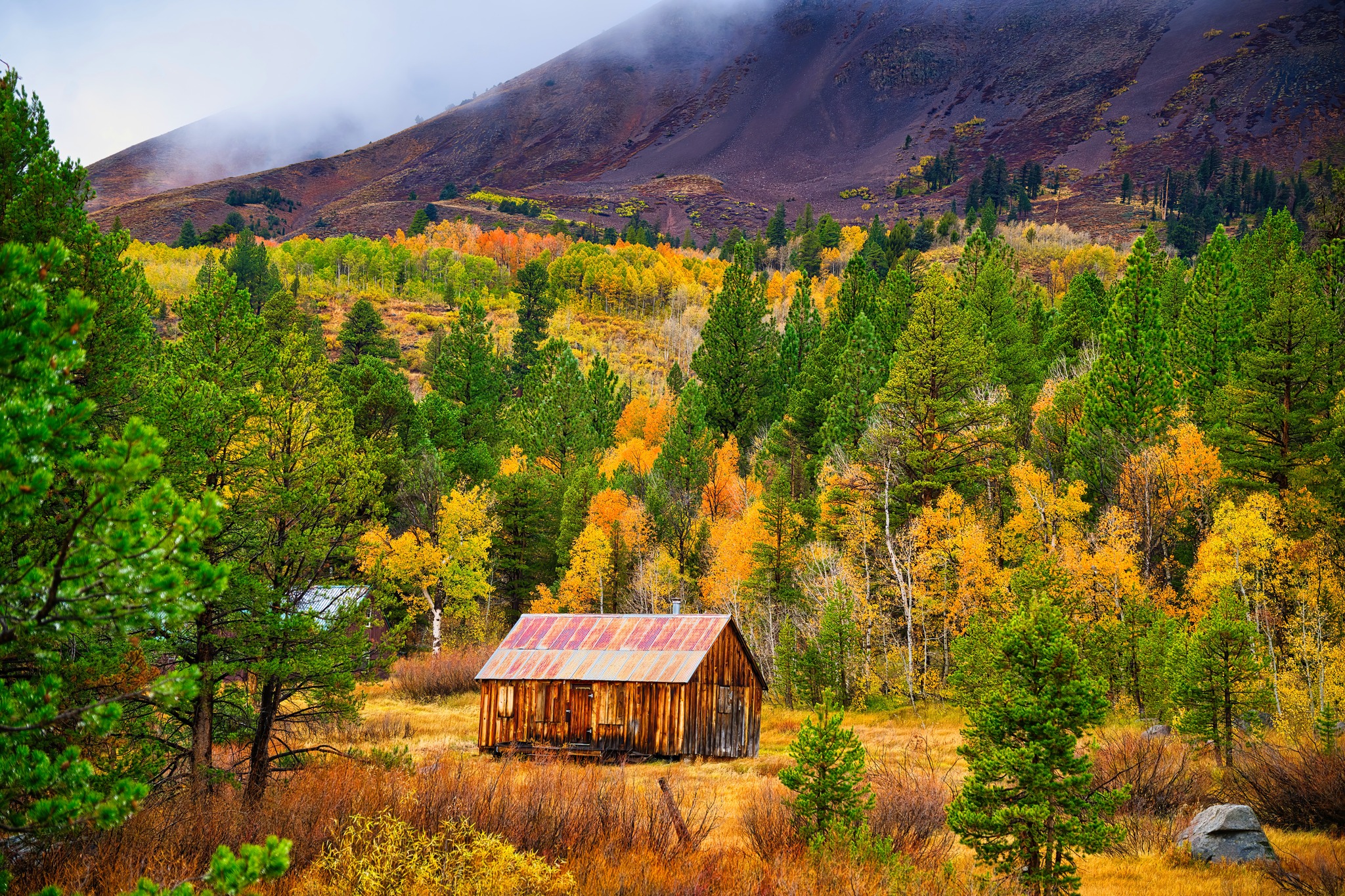 NorCal - Fall Colors @ Hope Valley |📷: Roger Dunstan 🌦🍂 