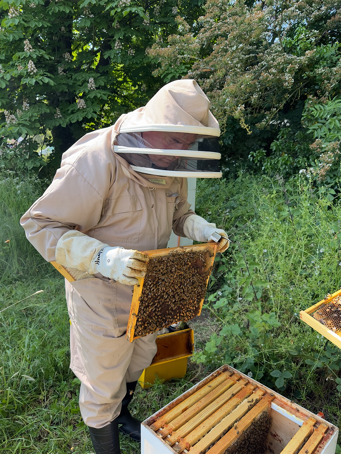 Gibraltar Point - 🐝 Honey Bee Weekend 🐝 Join beekeepers... | Facebook