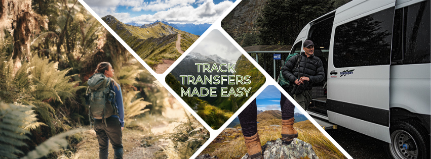 Tracknet | Te Anau