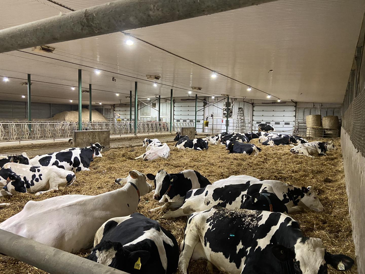 Ferme Patro-de