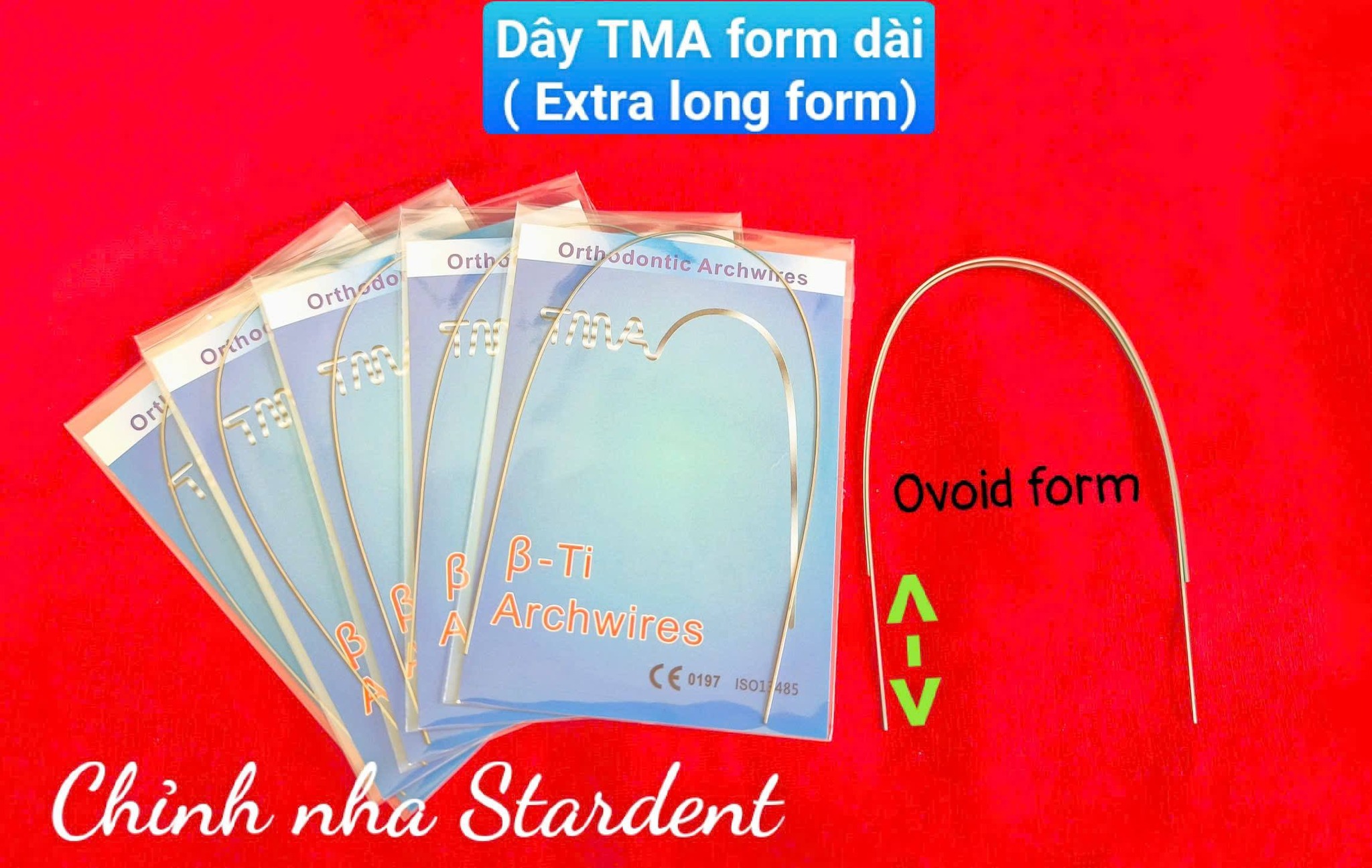 Nha sĩ Việt Nam | Dây TMA form dài long form Natural & extra long Ovoid ...