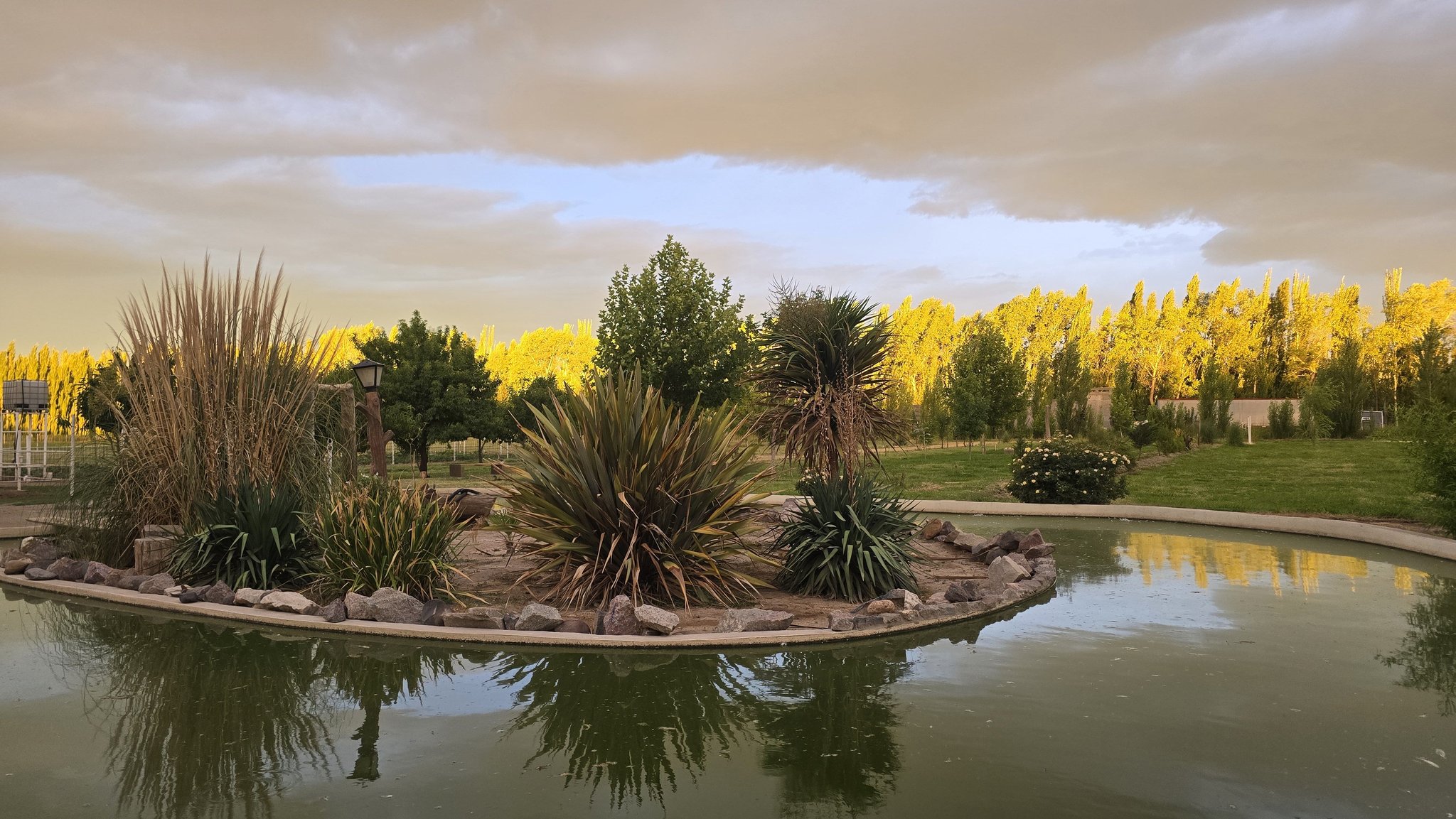 La Soñada Villa Regina | Villa Regina