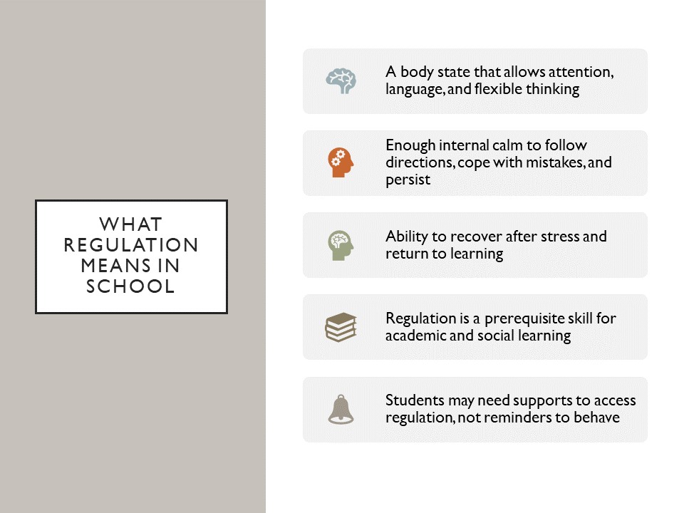 IEP - Stimming and Emotional Regulation : Key Concepts for Educators ...