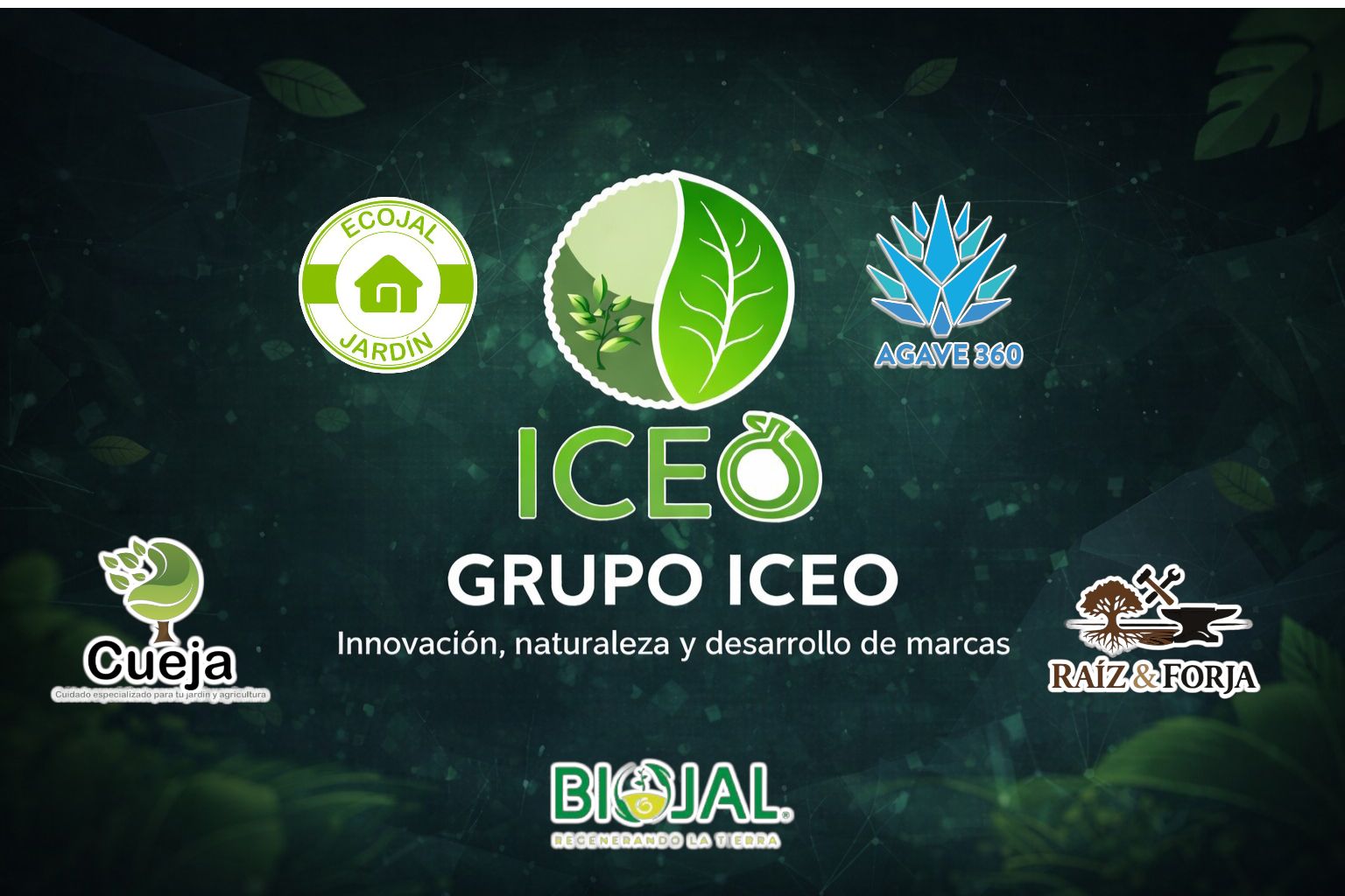 ICEO Integradora Comercial Ecológica -Zona Bajío- | Aguascalientes