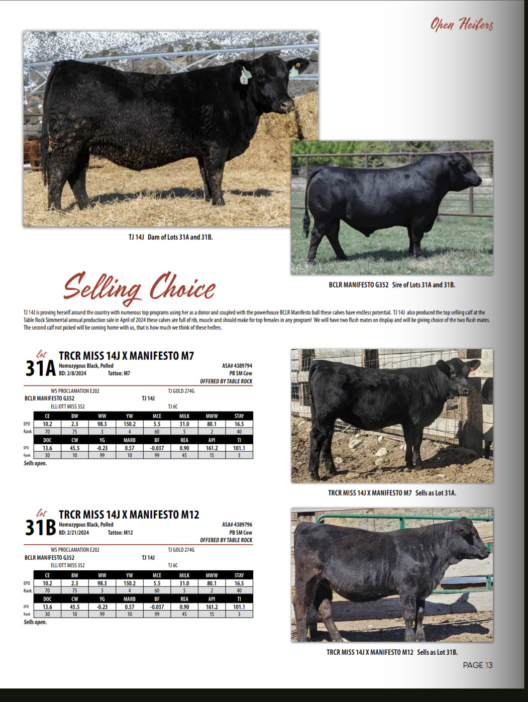 Table Rock Ranch | Ririe ID