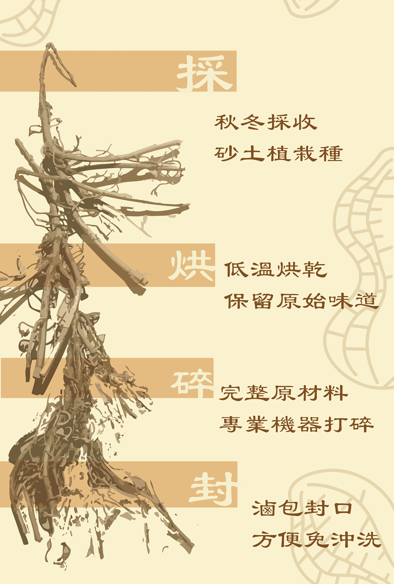 [花生根] 最近許多人詢問花生根是什麼？ 今天小編來跟大家分享囉‼️... - 老濟安 Healing Herbar | Facebook