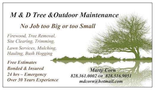 M & D Tree & Outdoor Maintenance