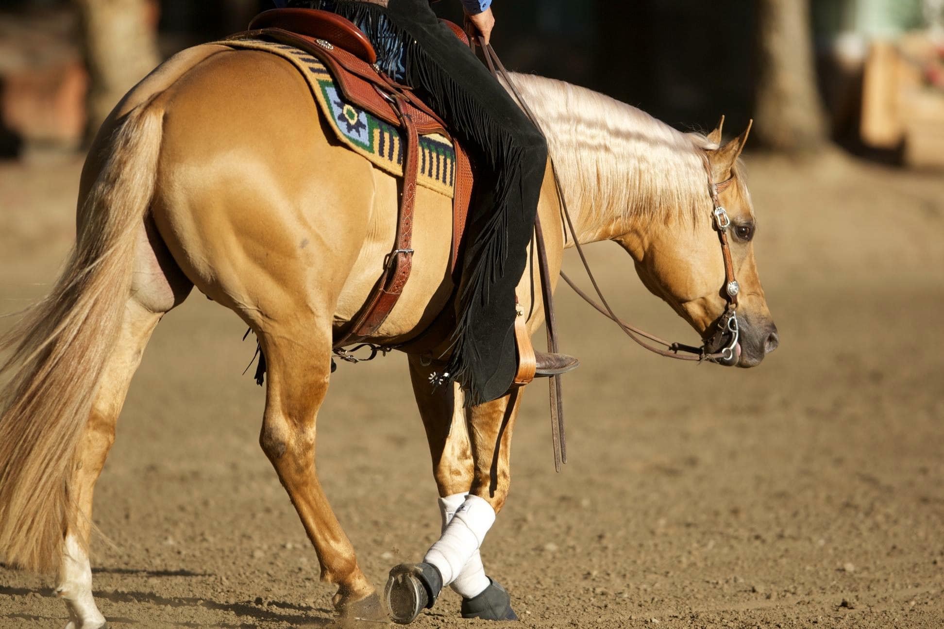 Lariat Ranch