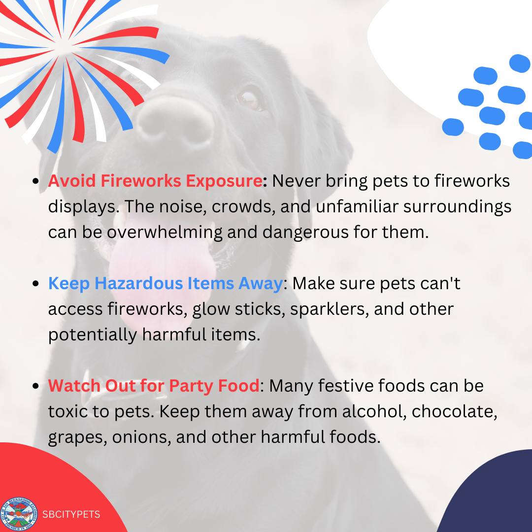 🎆 Fourth of July... - City of San Bernardino Animal Services