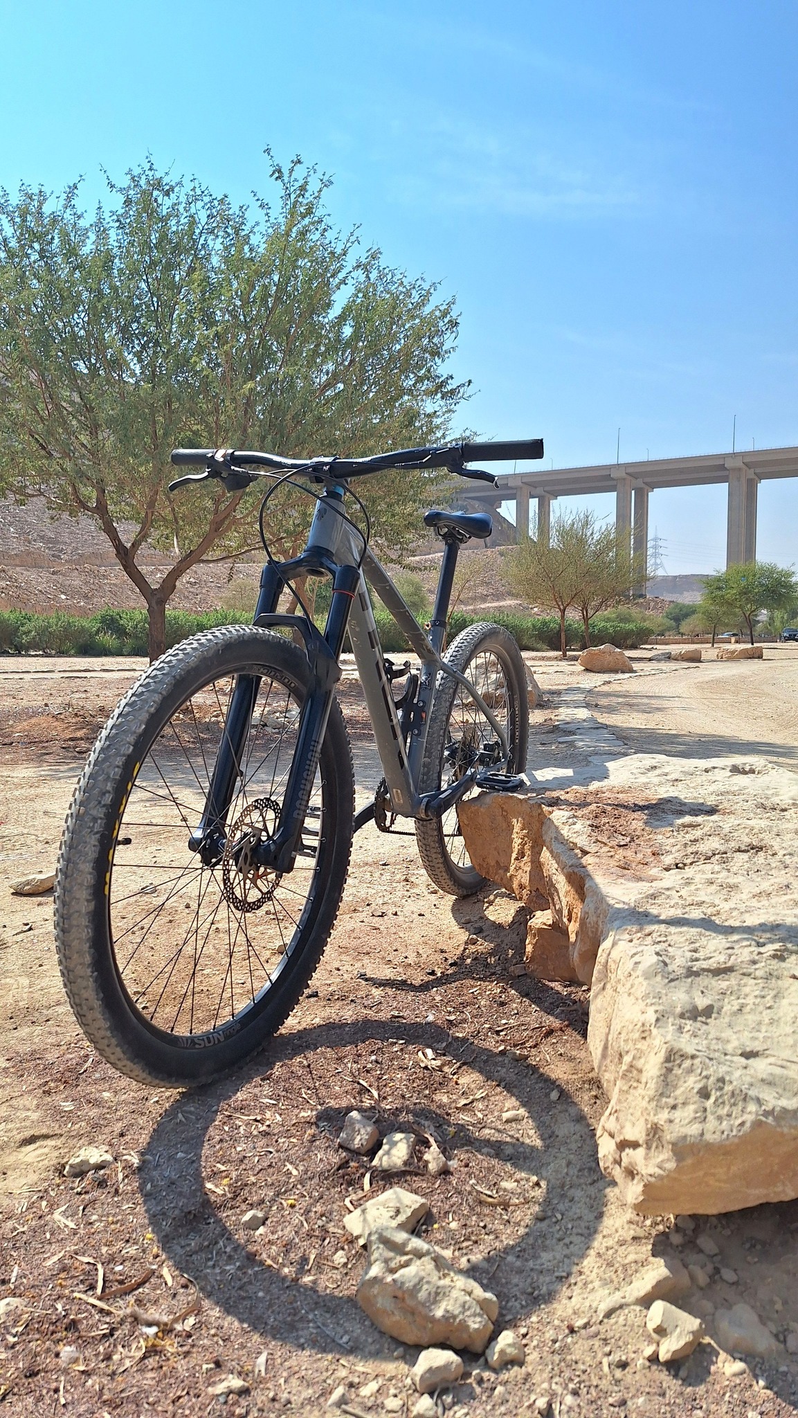 Trek Marlin 7 MBR Hardtail mountain bike of the year 2015!