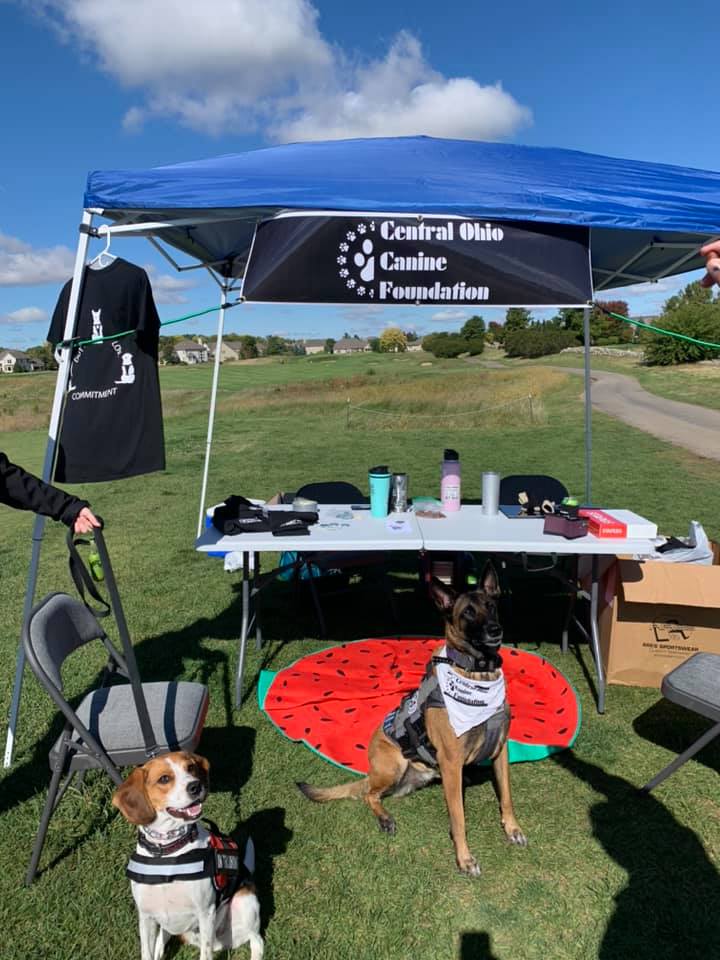 COCF is out at the Golf... - Central Ohio Canine Foundation | Facebook