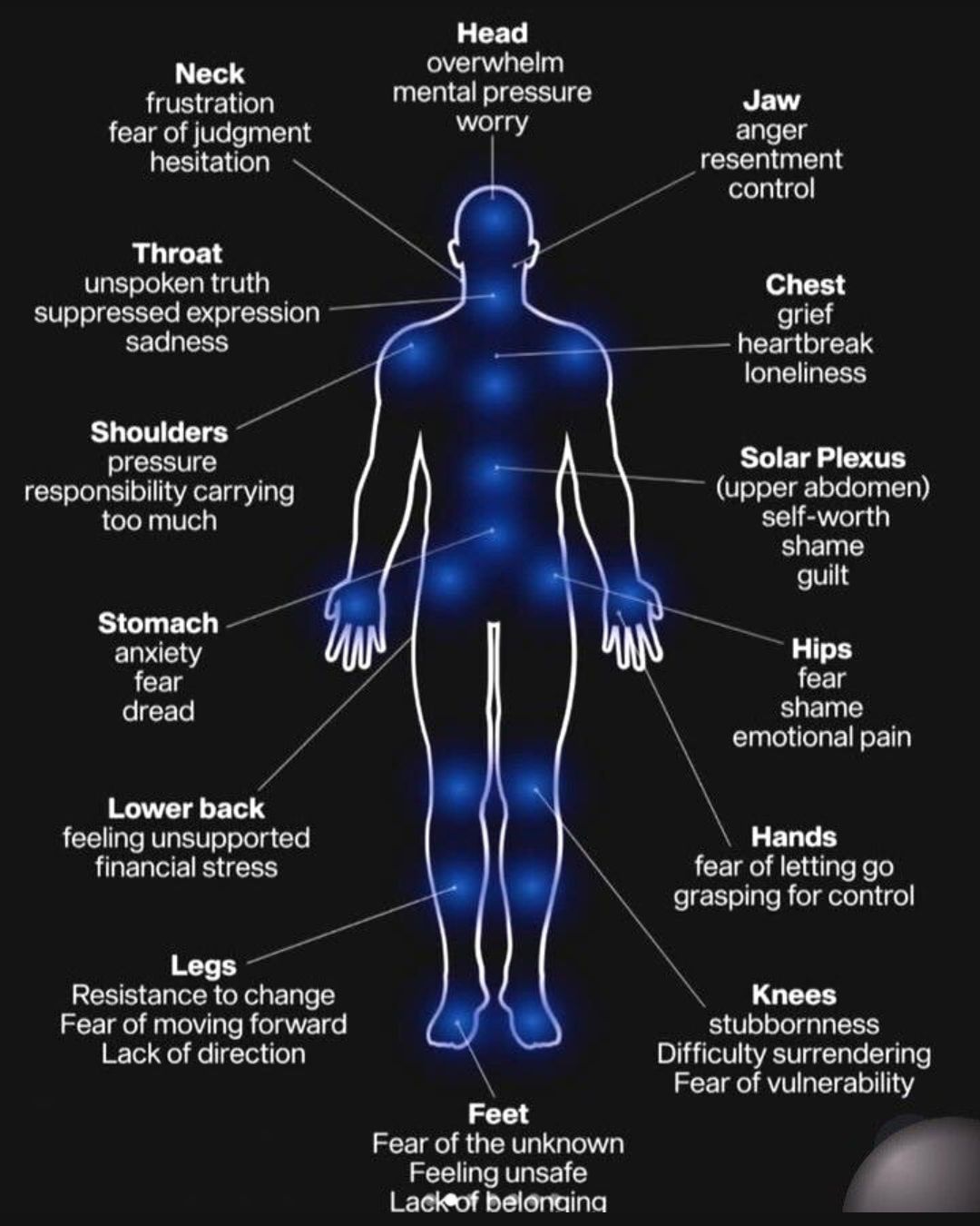 Nadia - Your body is always communicating with you. Pain and discomfort ...
