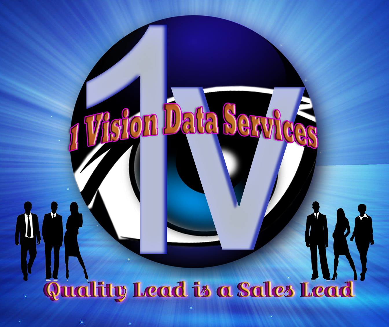 1 Vision Data Services