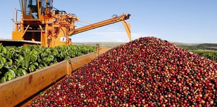 ACEMES - Associação Produtores de Cafés Especiais das Montanhas do ES