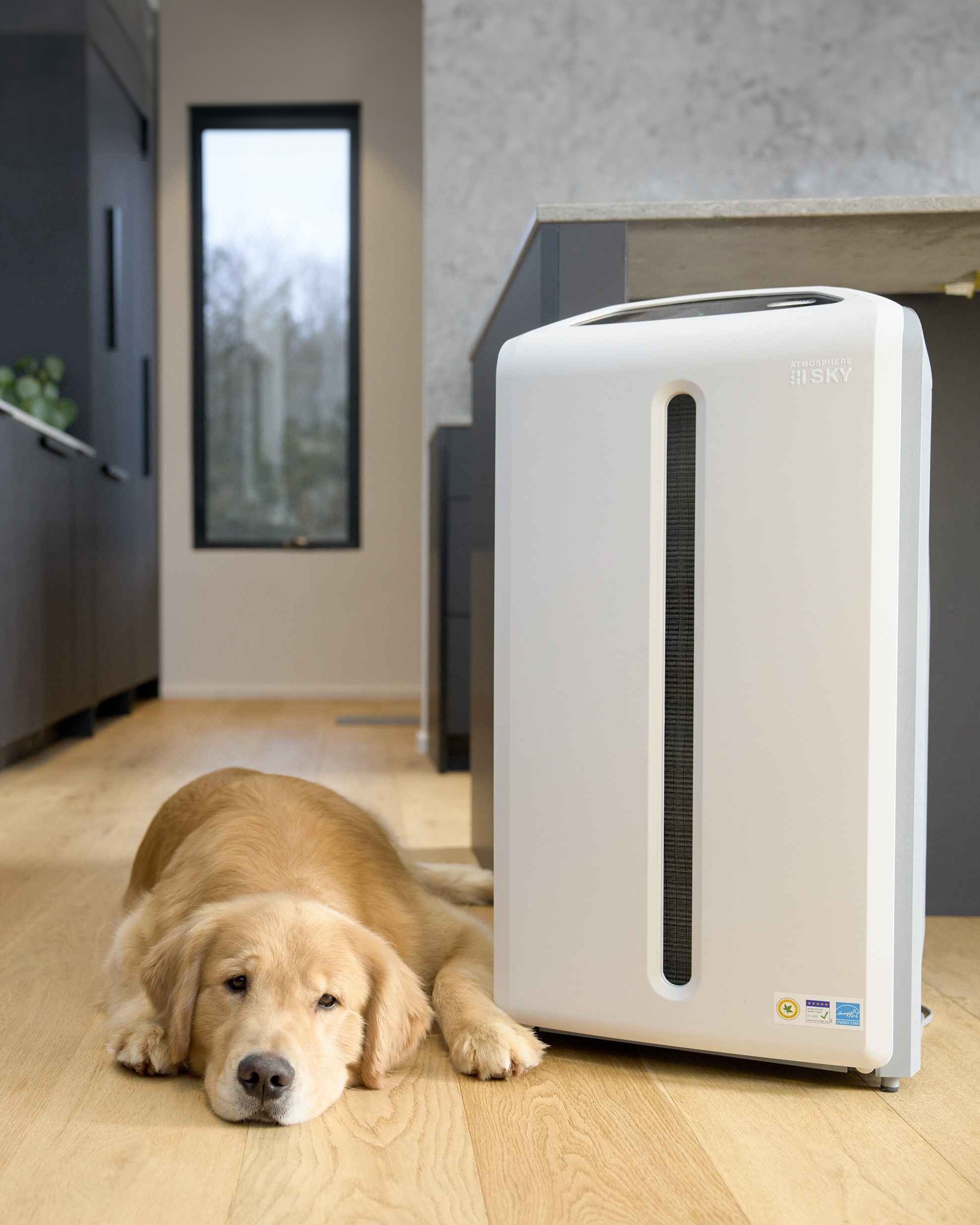 Let the #Atmosphere Mini refresh the room with a 3-in-1 filtration