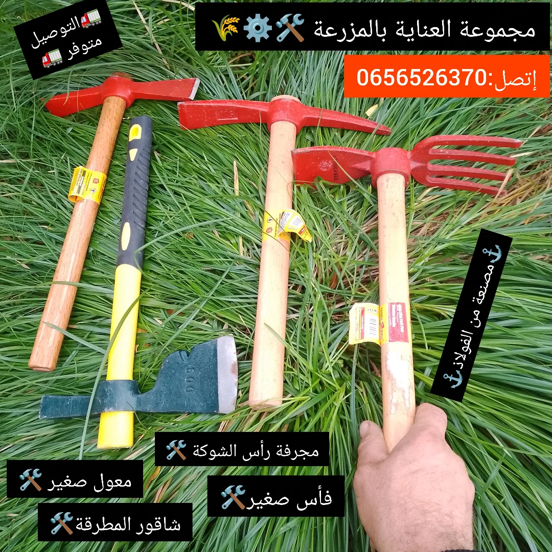 العلمة للتجارة - ‎العلمة للتجارة‎ added a new photo.