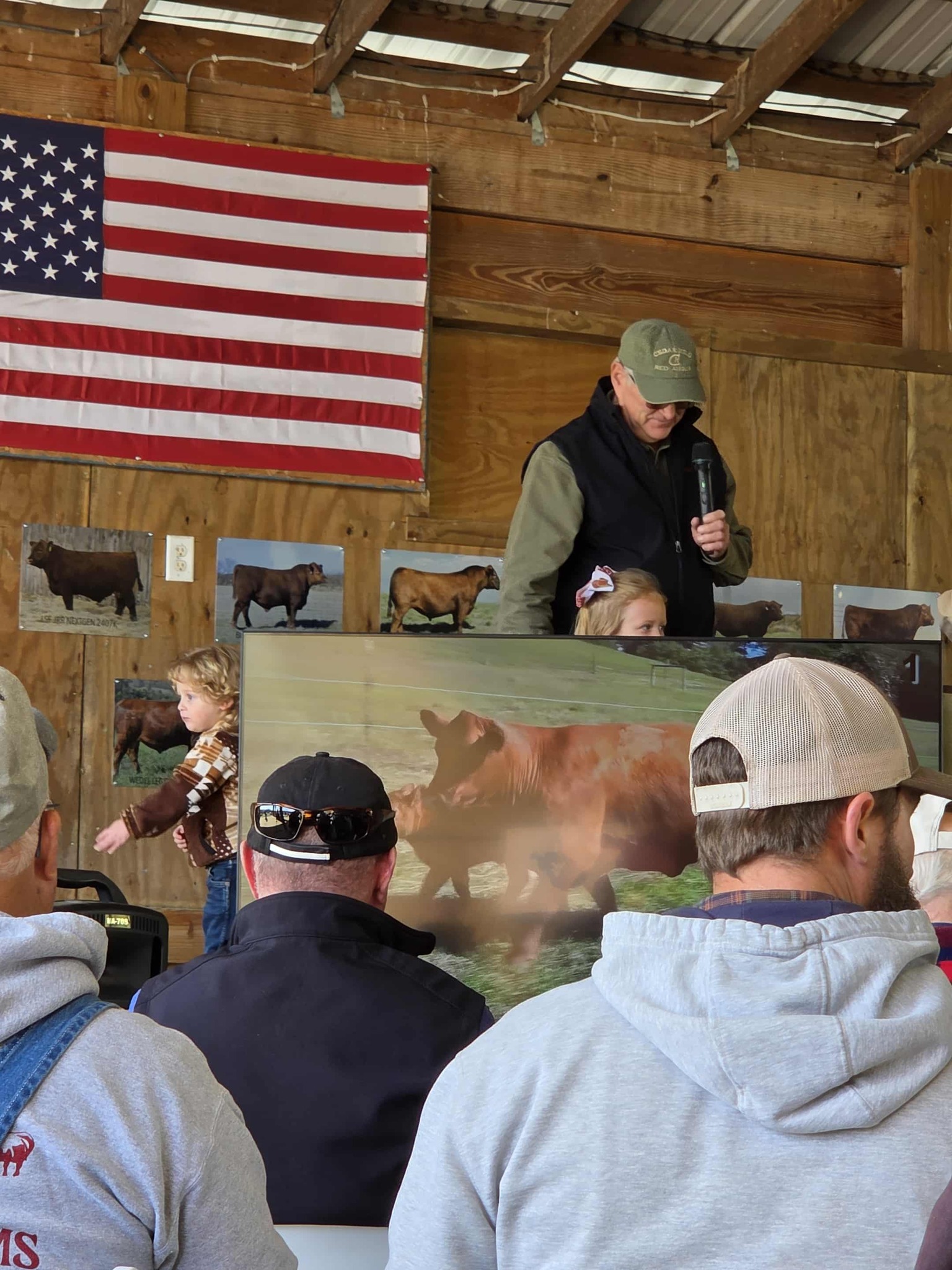 Cedar Hill Red Angus | Jane Lew WV