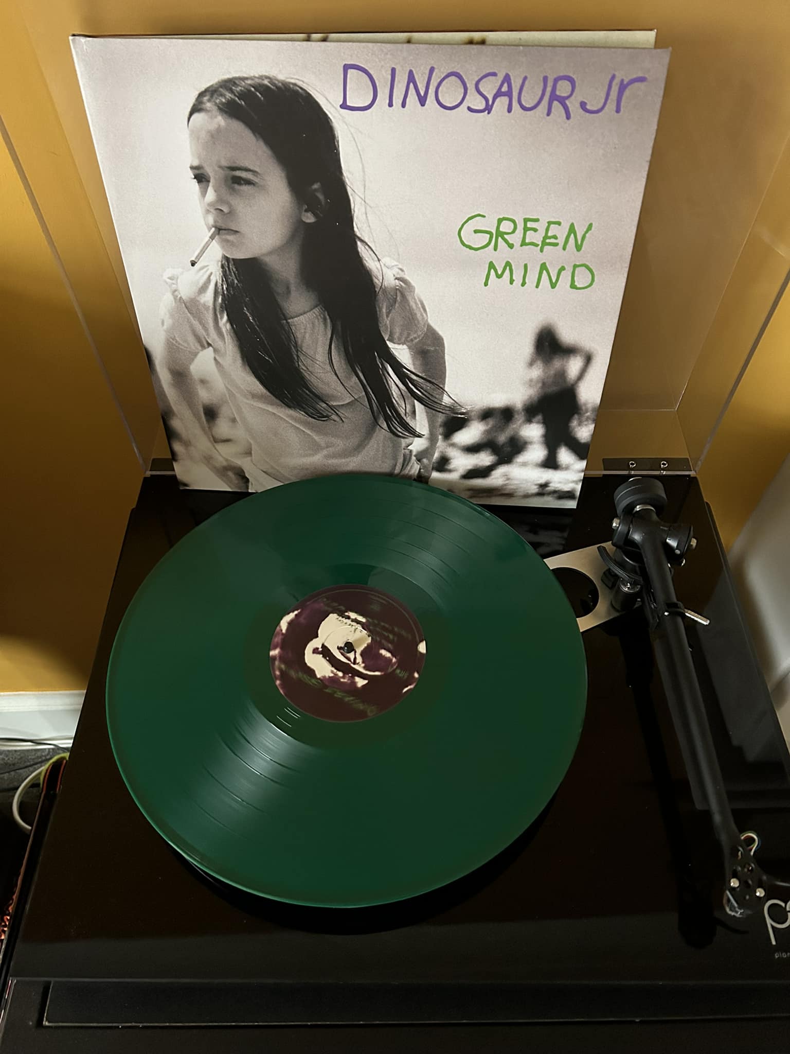 Dinosaur Jr's Green Mind album review