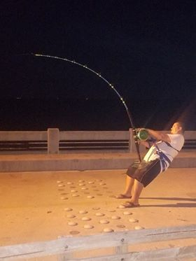 Steadfast Fishing Rods,,,the name says it all