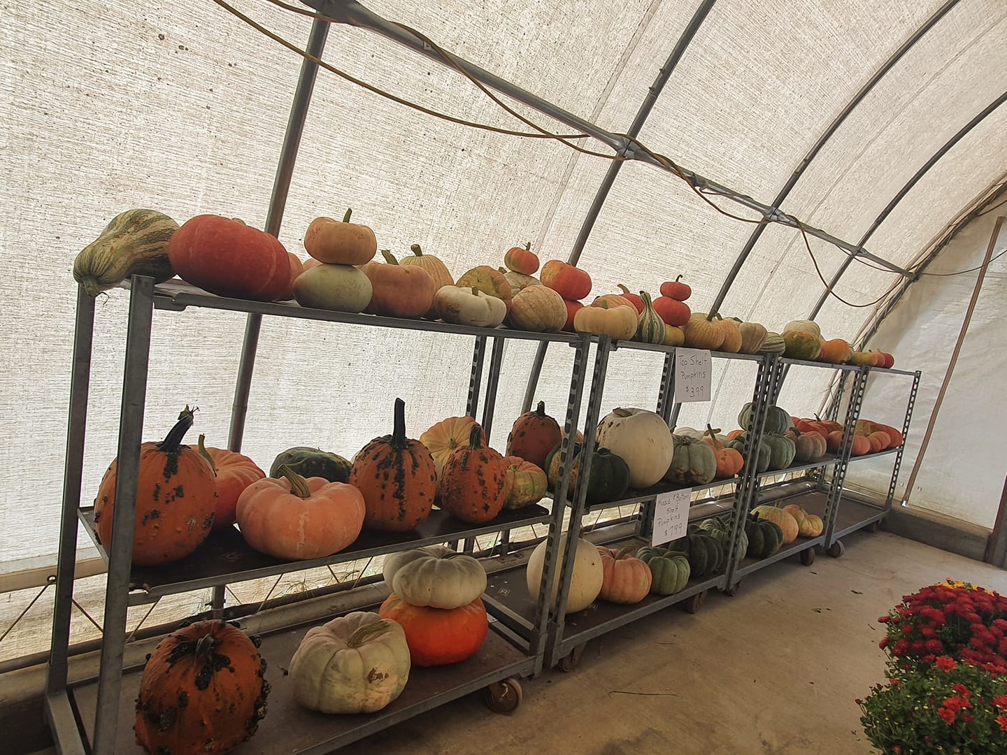 Houser's Produce Farm