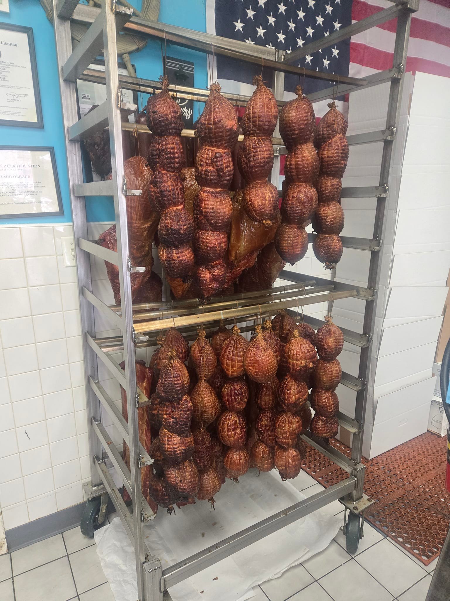 Fish Time | Park Ridge IL