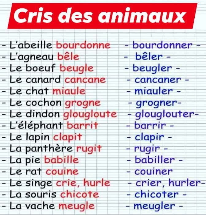 Communiquer en Français avec Aka | Facebook