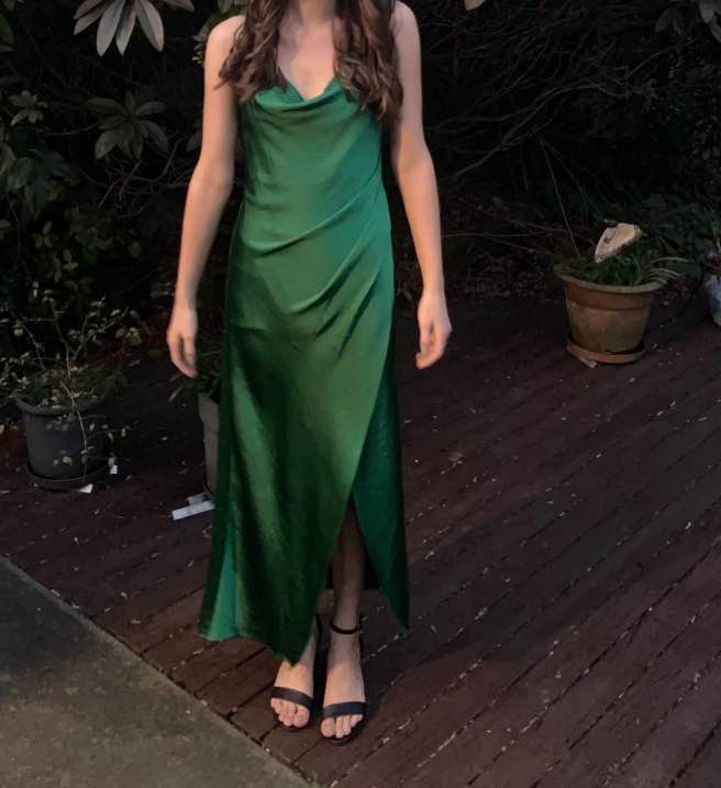 pagani green dress Yellow JJ's house Size small RRP $91 Selling $75 dress Size 8 RRP $79 Selling $60 Both in like new condition worn once or twice PM if interested Mesh dress