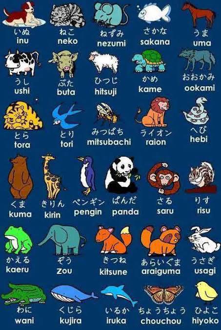ĐẠI CHIẾN JLPT N5-N1 07/2026 | FULL ĐỀ JLPT N3 12/2024 @mọi người ...