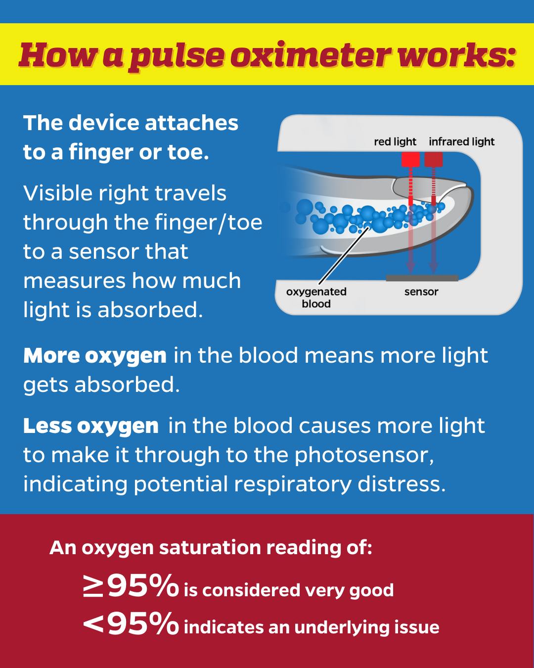 Johns - graphic showing how a pulse oximeter works with text: How a ...