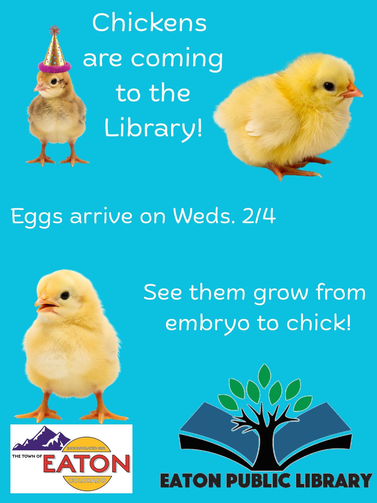 Faith Preschool | Eaton CO