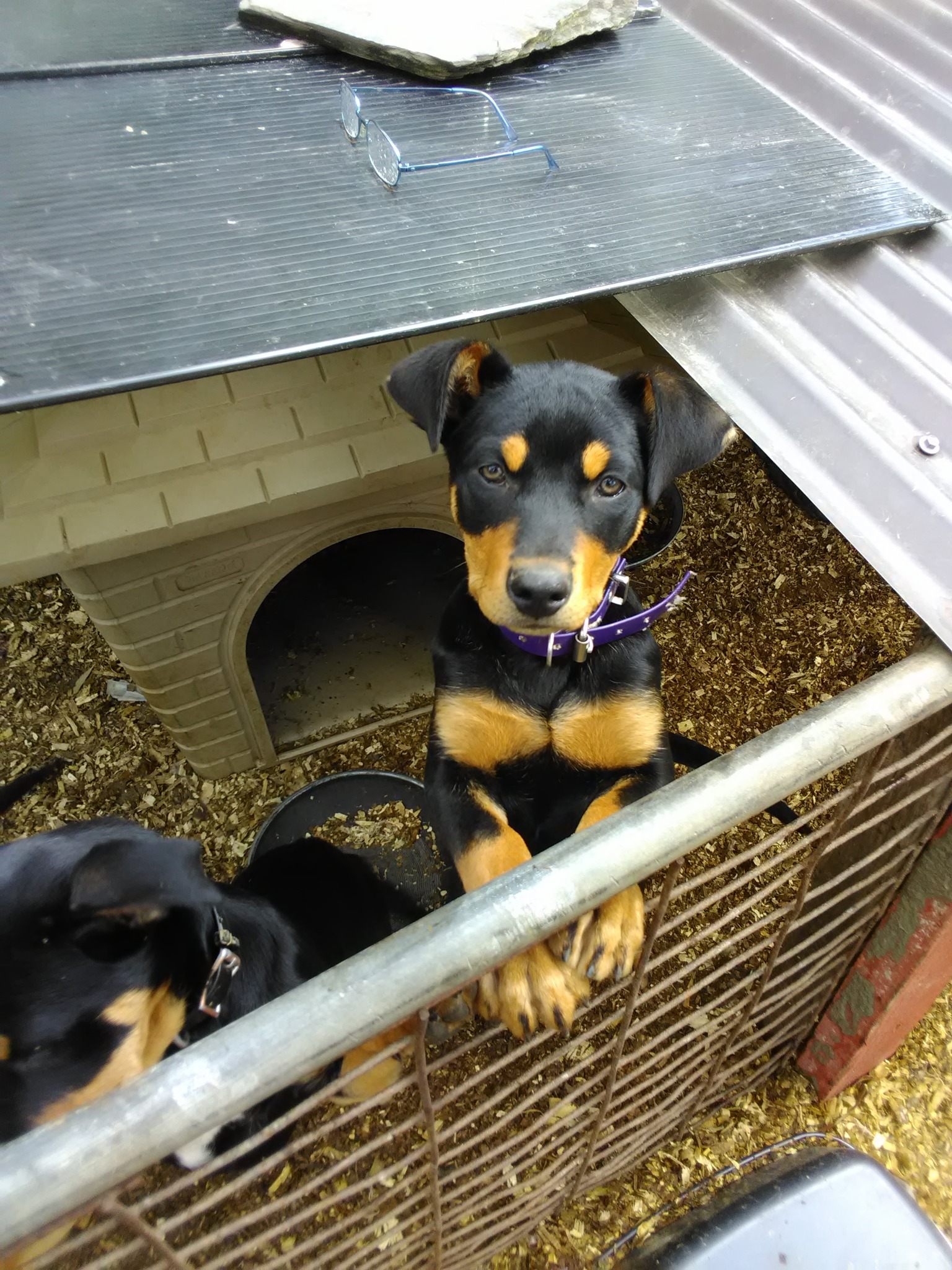 Farm-Minder