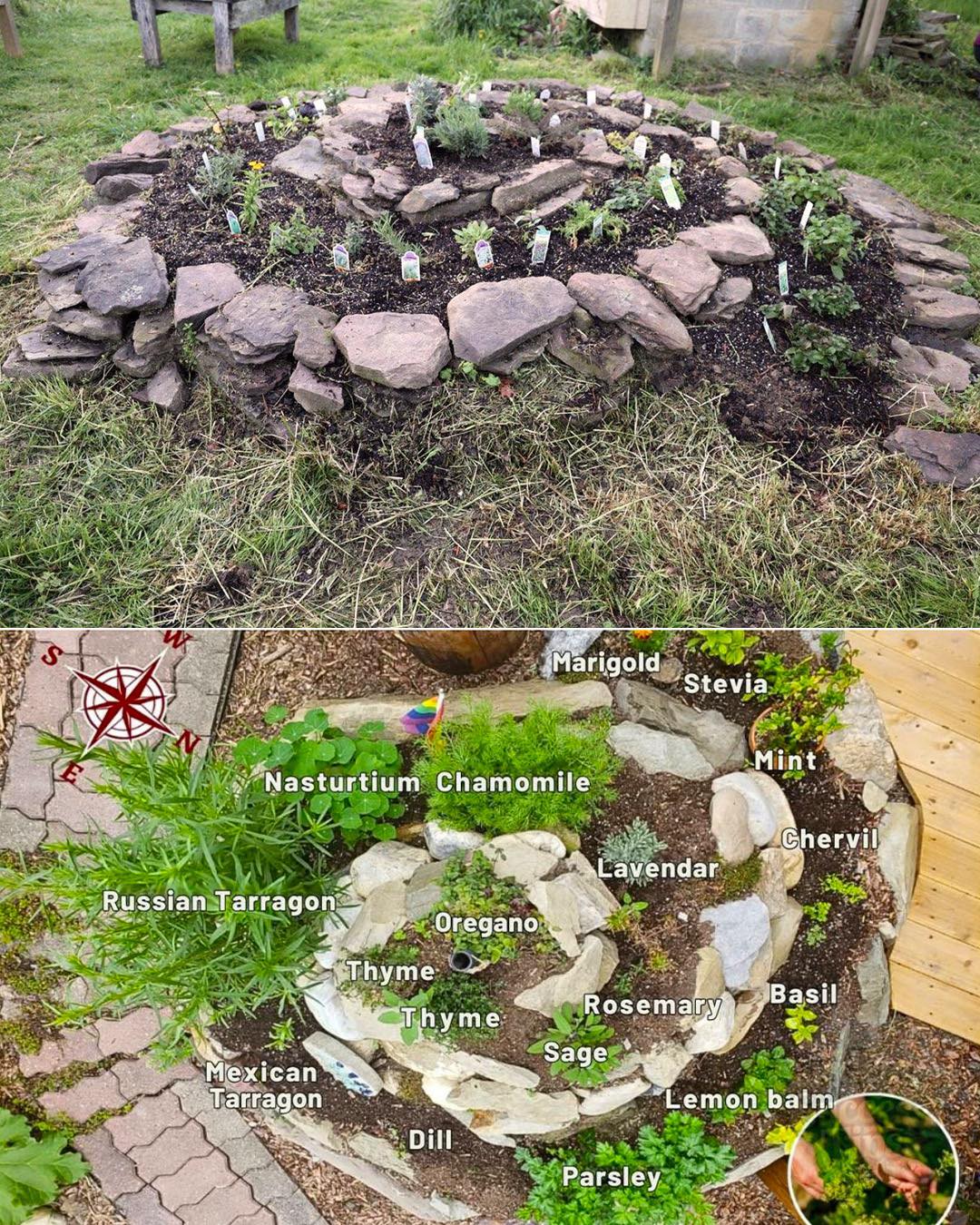 Plants - An herb spiral turns a small patch of ground into multiple ...