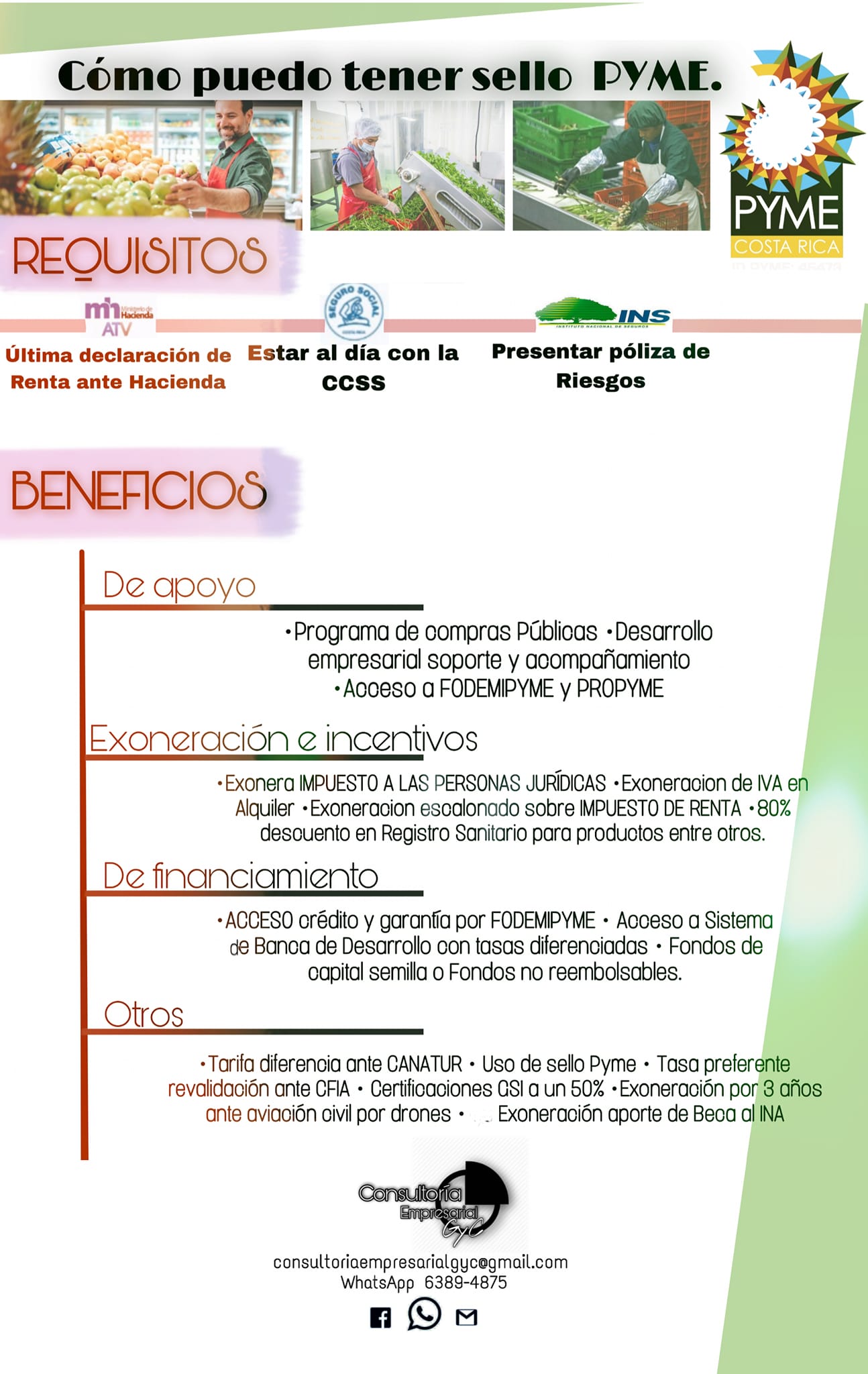 Consultoría - ¿Porqué es importante obtener su SELLO PYME? Además de ...