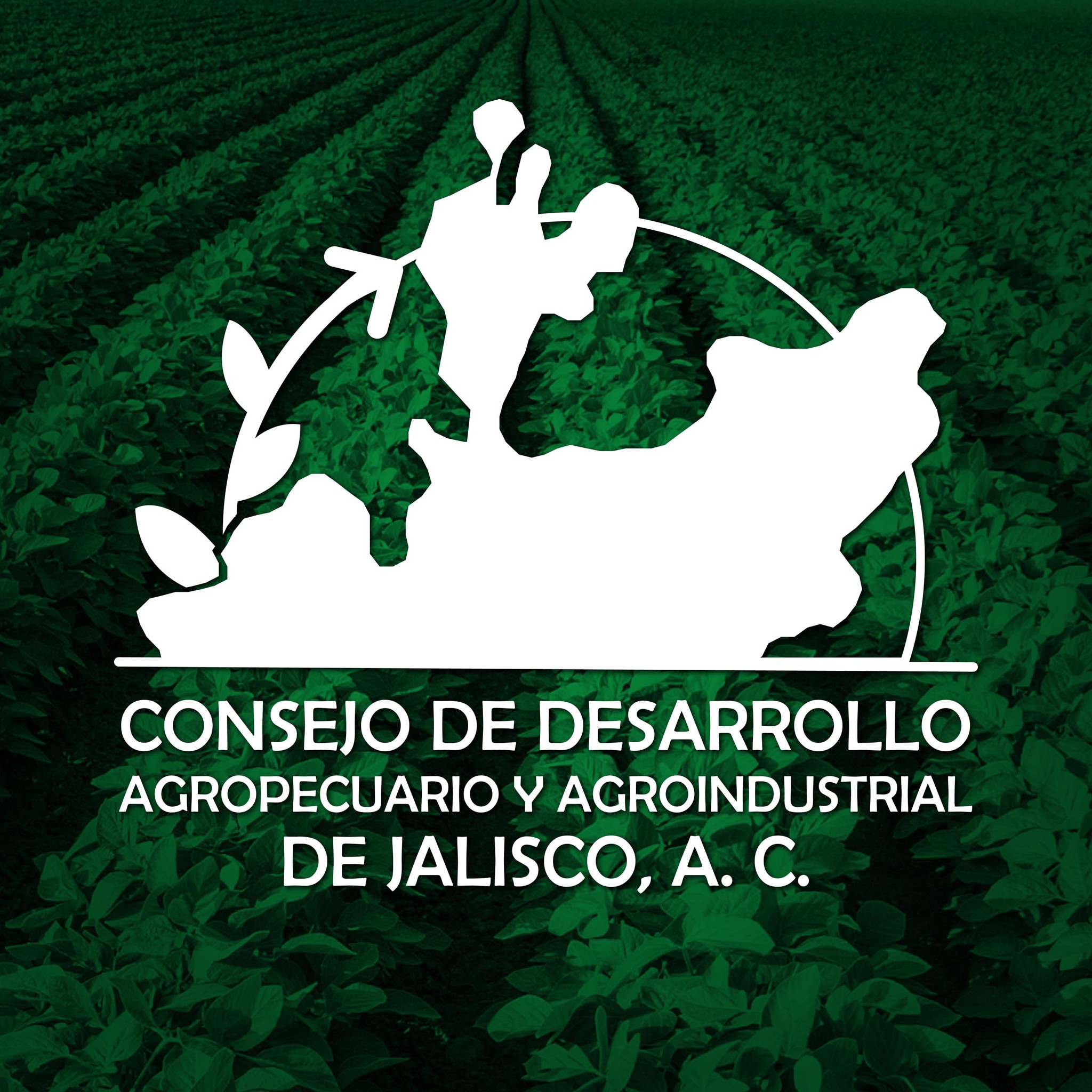 🌾 El campo está lleno de mujeres que trabajan, lideran y transforman el ...