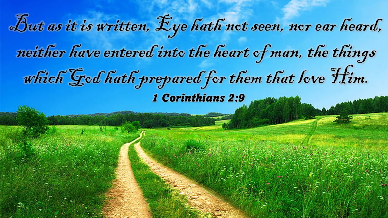 Multitudes for Christ Global Harvest Ministry-Tococ Outreach added a ...