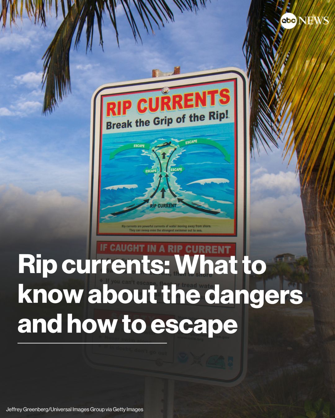 ABC News - If you're heading to the beach this summer,...