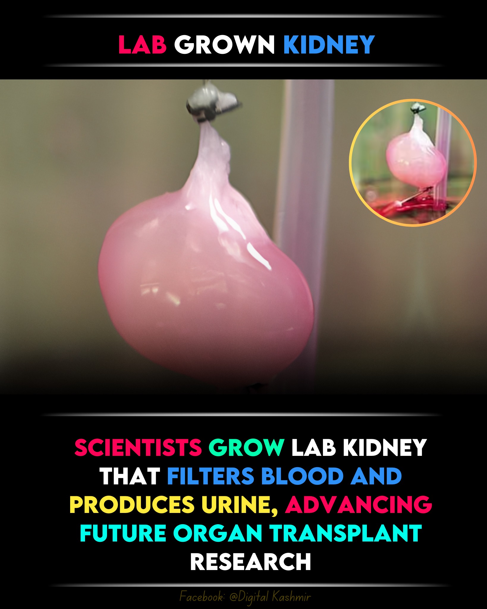 Digital - A major breakthrough in regenerative medicine has been ...