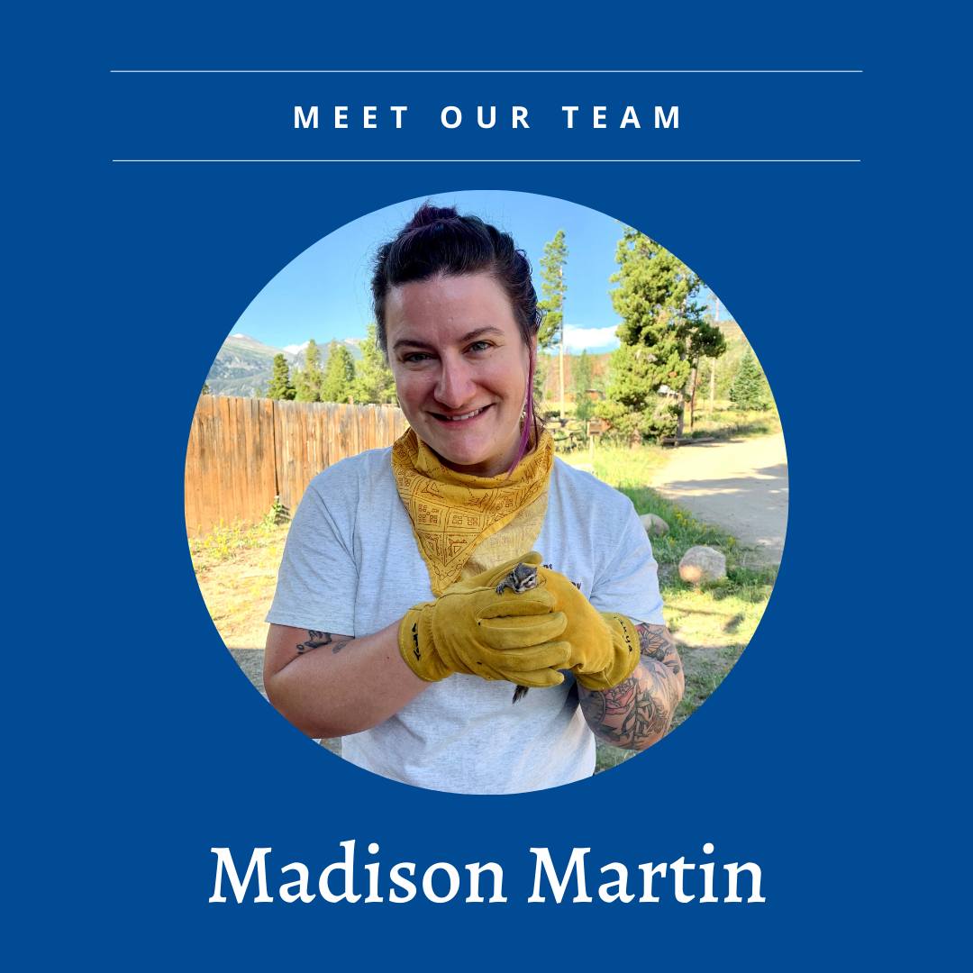 Colorado - Meet our newest team member, Madison Martin! Madison is the ...