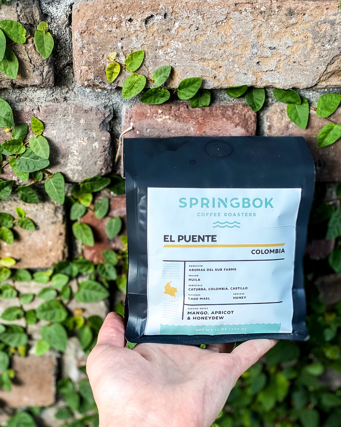 Springbok Coffee Roasters | Charleston SC