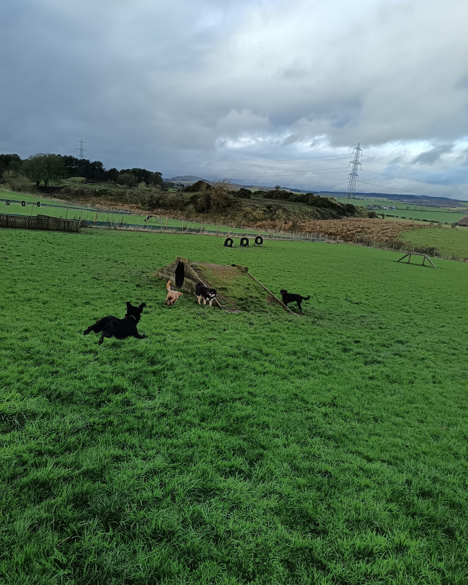 Dean Farm Dog Park | Dunfermline