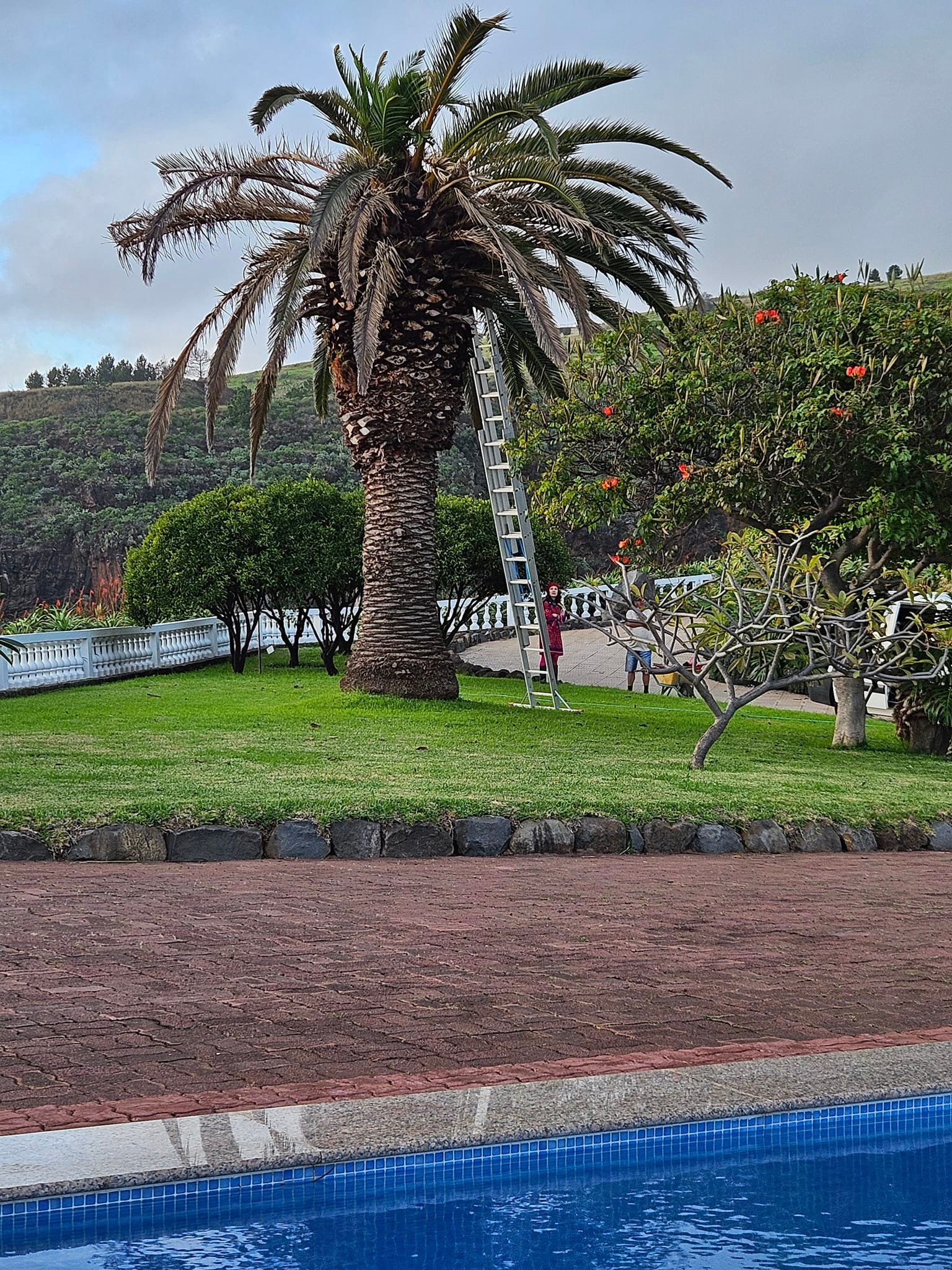 Greenrumble Unipessoal LDA | Funchal