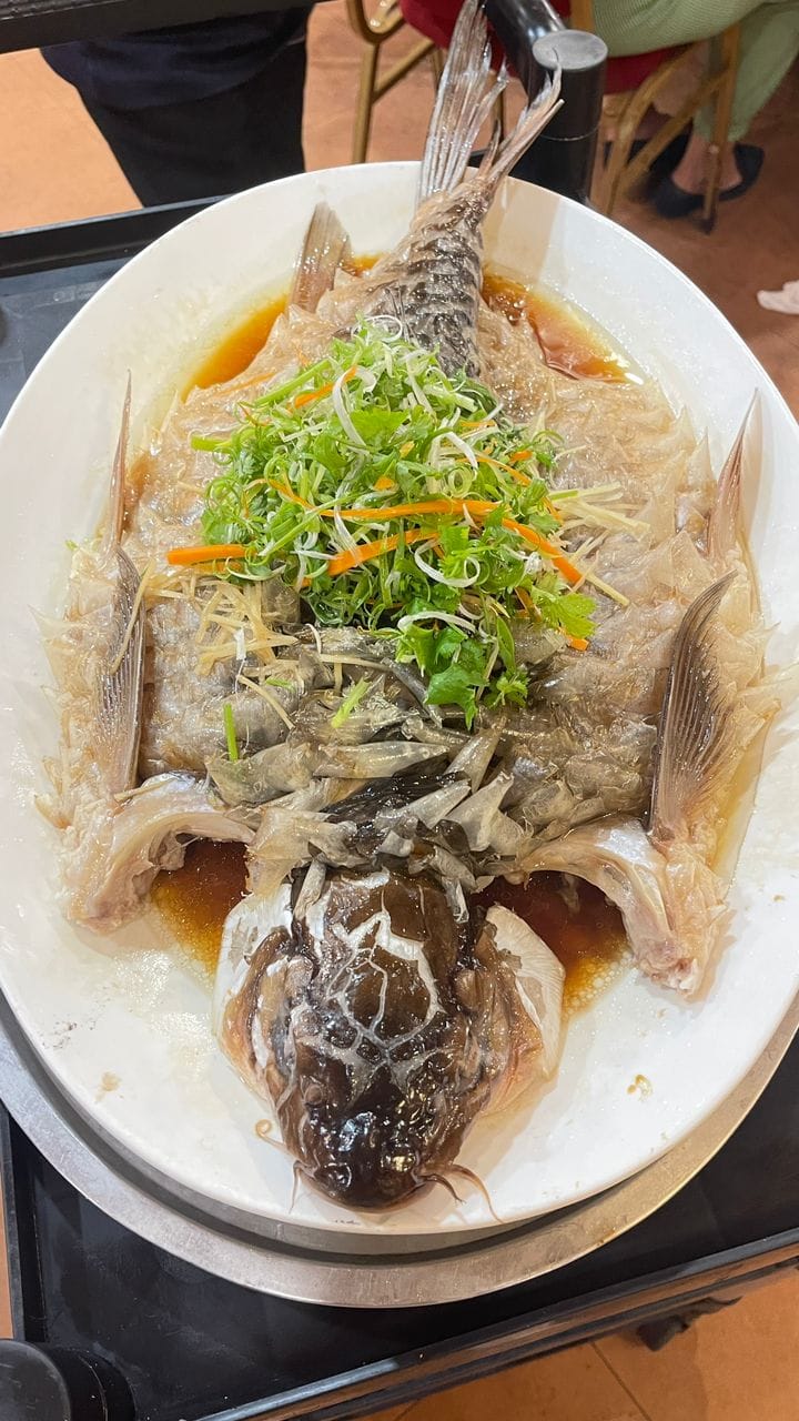 Empurau Sarawak Empurau Fish Tor Tambroides | Kuching