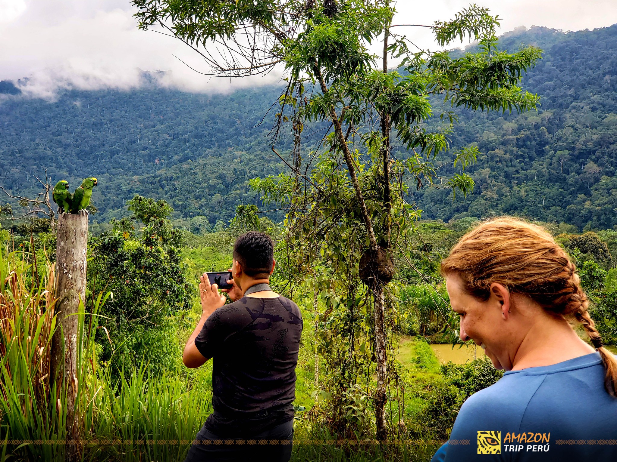 Amazon Trip Perù - manu national park tours | Cusco