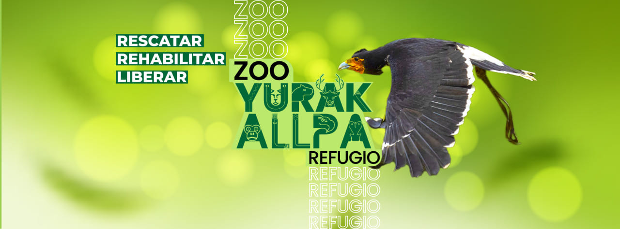 Yurak Allpa Zoológico | Cuenca