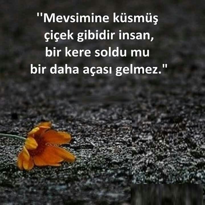 Mert Çağlayan (@mert.caglayan.296078) • Facebook, Connect with friends