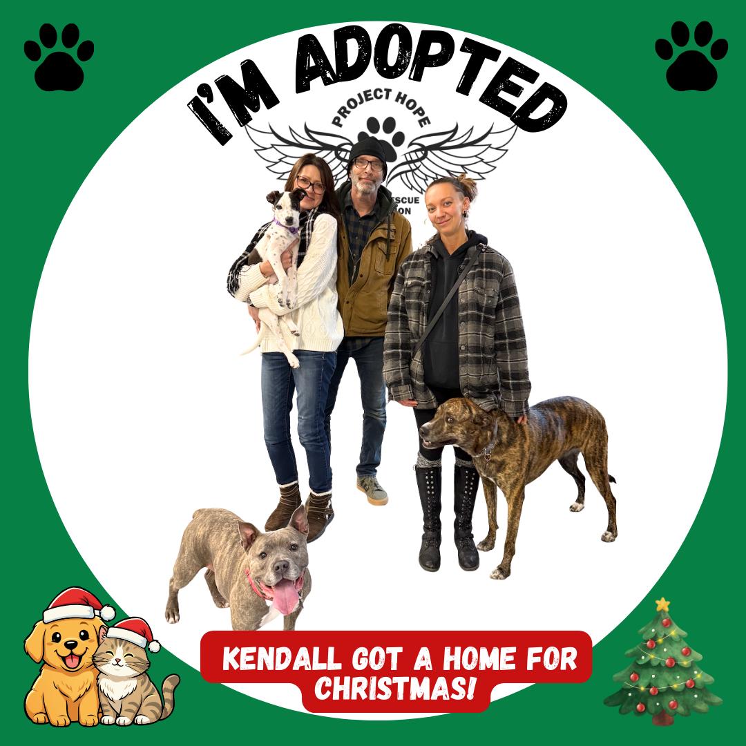 Project Hope... - Project Hope Animal Rescue Foundation