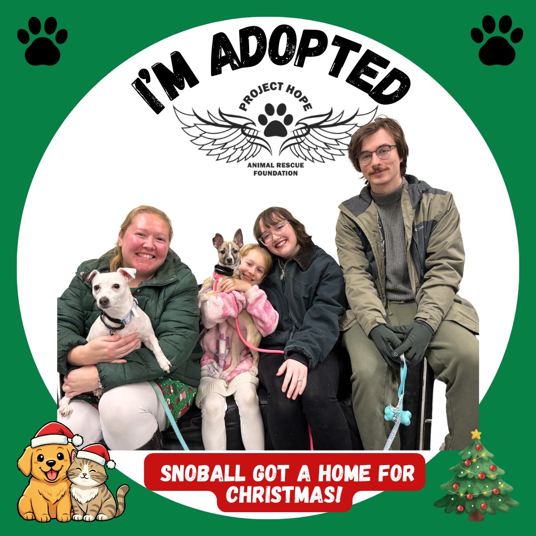 Project Hope... - Project Hope Animal Rescue Foundation
