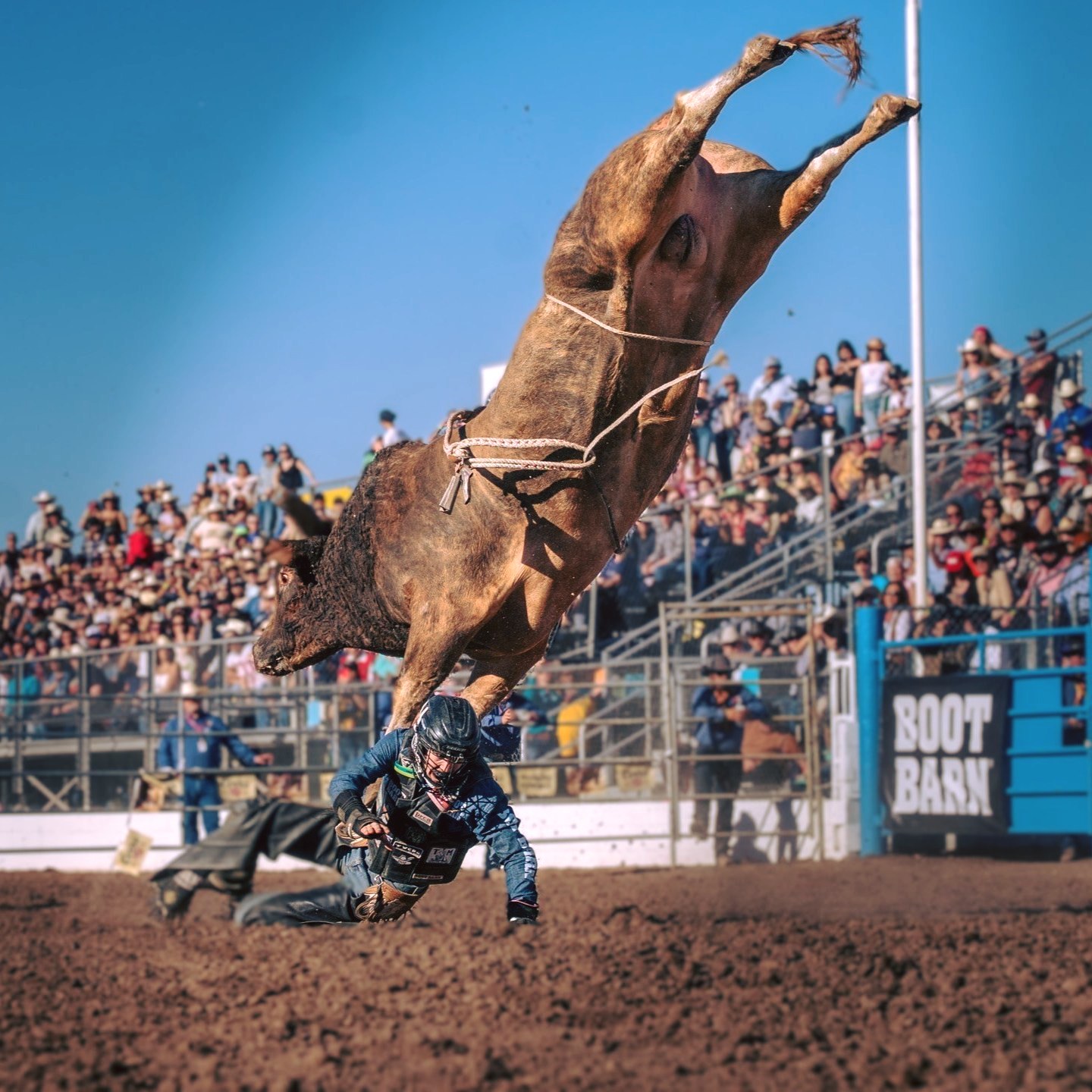 PBR - 📸🔥 Pure rodeo magic at the Tucson Rodeo.🔥 Captured perfectly by ...