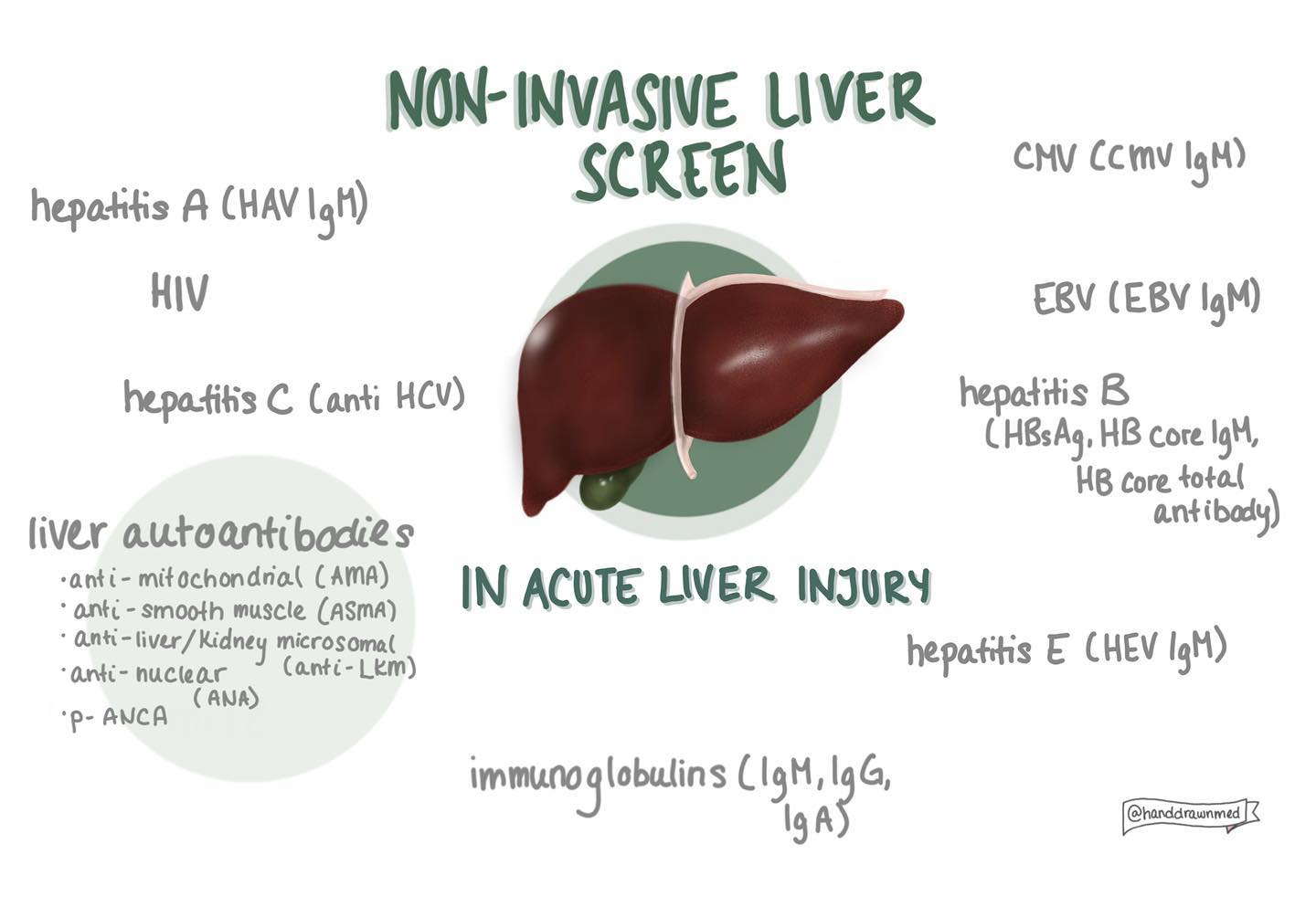 Hand - Non-invasive liver screen in acute liver injury 🤕 What bloods to ...